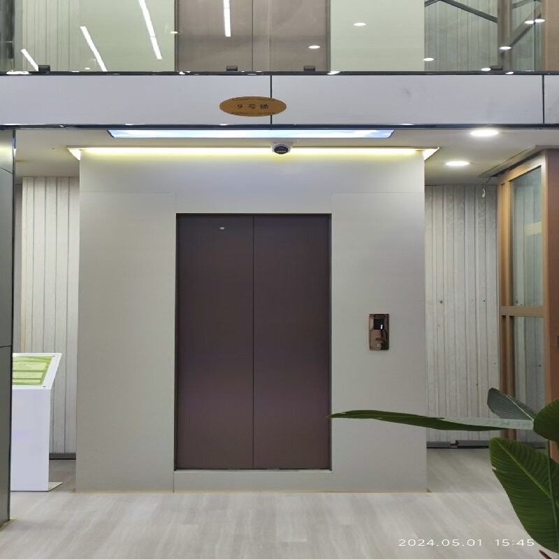 Panoramischer Lochloser Wohnelift