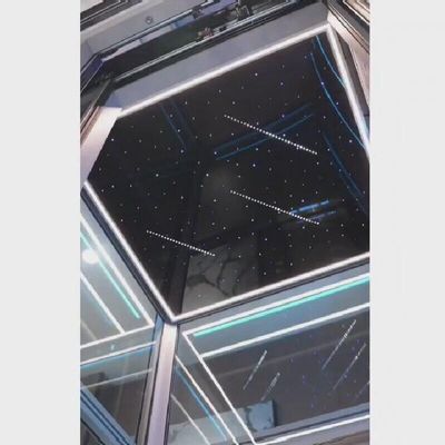 Quaint Traction Home Lift VVVF Control Gearless ss Kabinenlift 1 Jahr Garantie