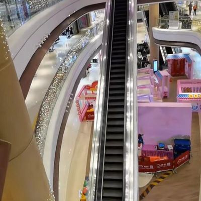 Vorhersagende Wartung Automatischer Gehweg 30 Grad Rolltreppenlift