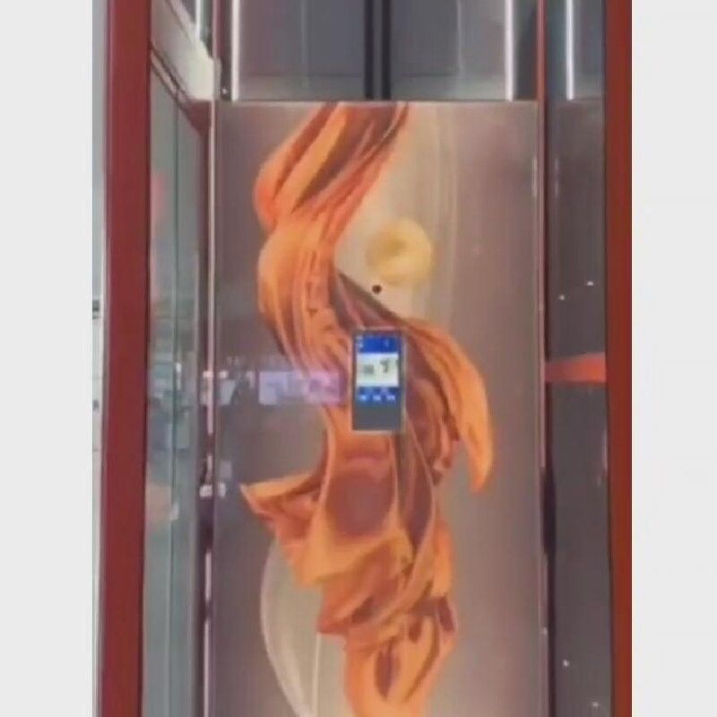 Kleine Wohnlifte aus Edelstahl 400 kg Kleine Aufzüge für Häuser